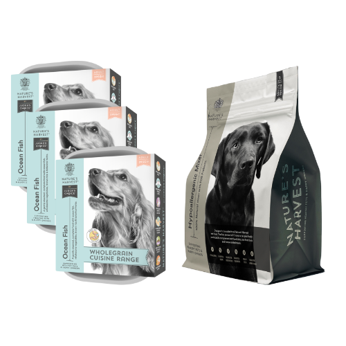 Three Salmon & White Fish wet dog food trays stacked beside a Nature's Harvest mixer bag