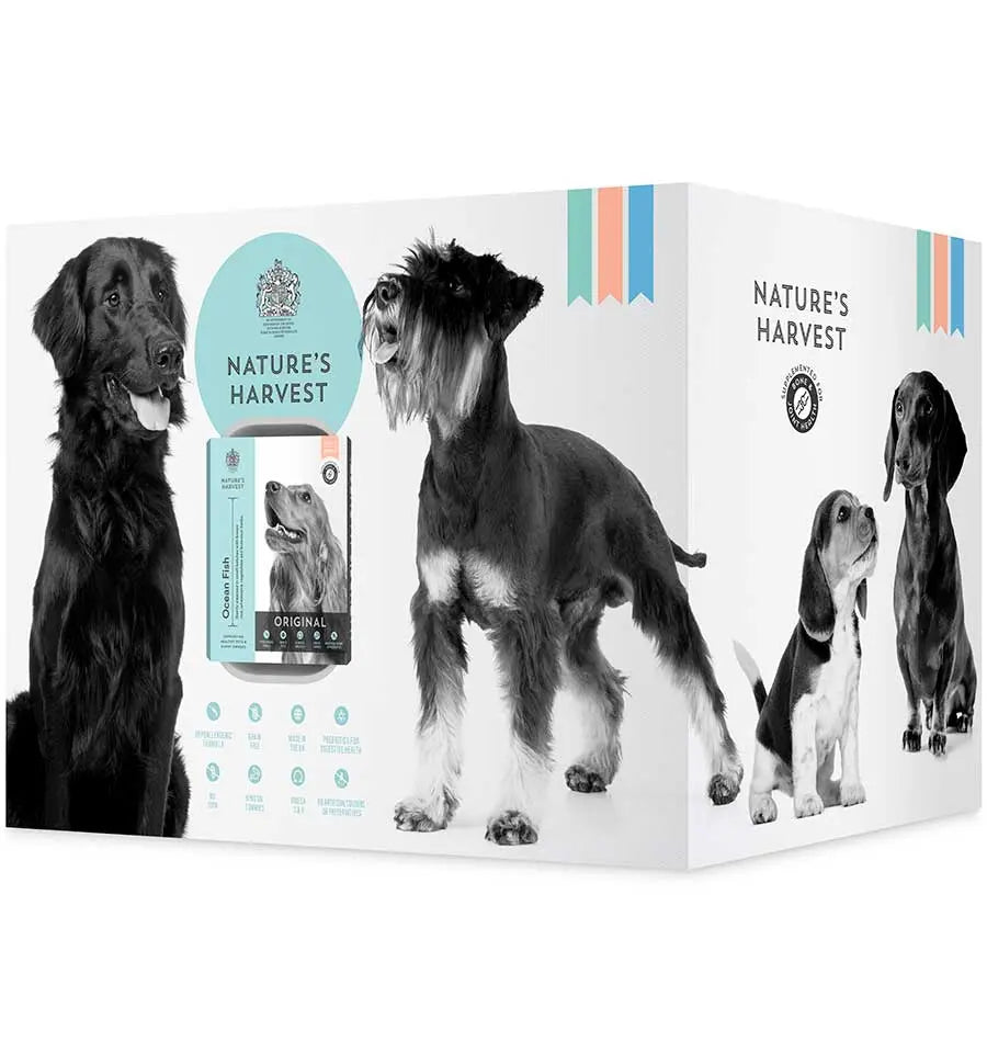 Nature's Harvest wet dog food outer box printed with retriever, schnauzer and spaniel illustrations