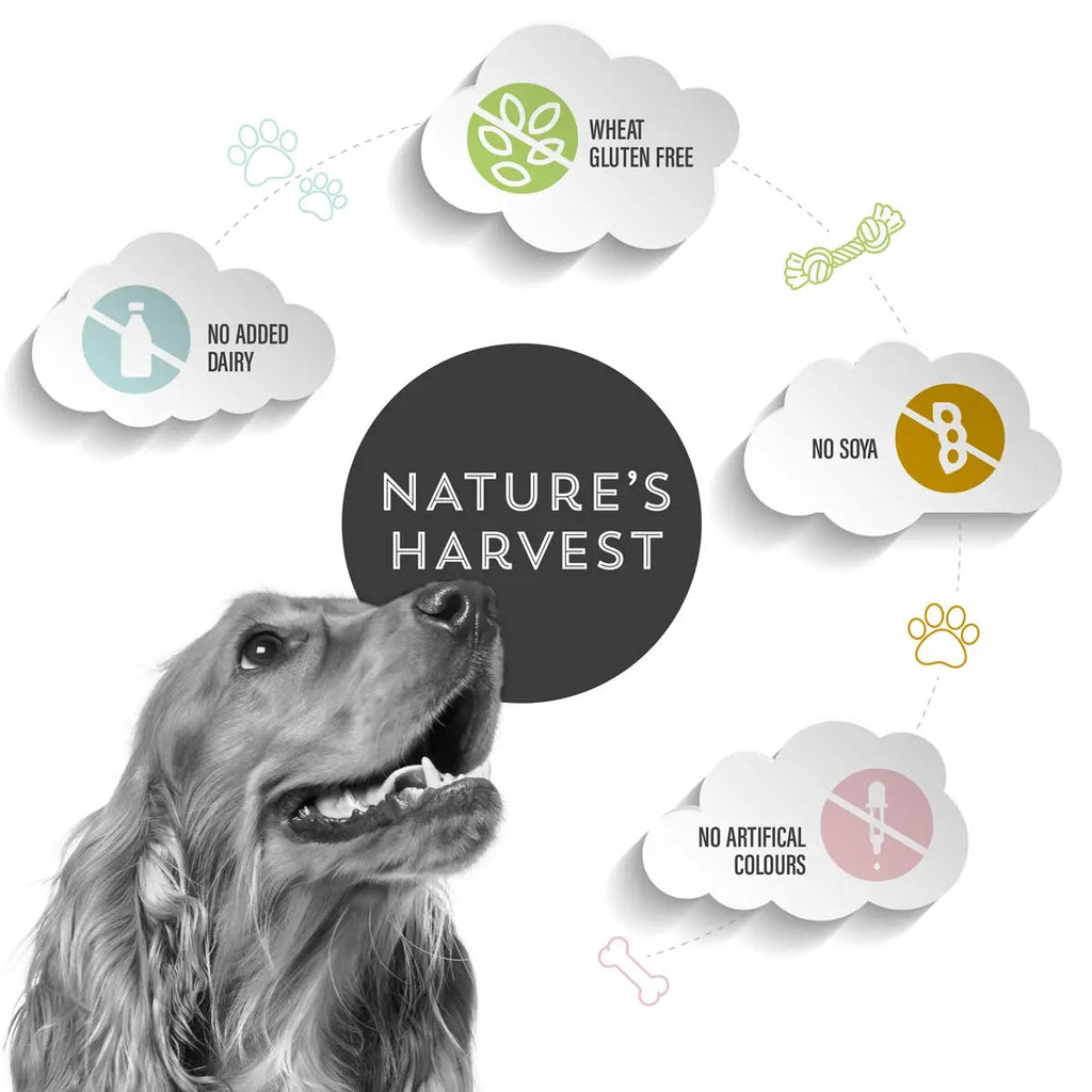 Golden retriever with Nature's Harvest free-from icons: no added dairy, no soya, wheat gluten free