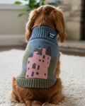 Spaniel seen from behind in a blue and green wool jumper with a pink castle design