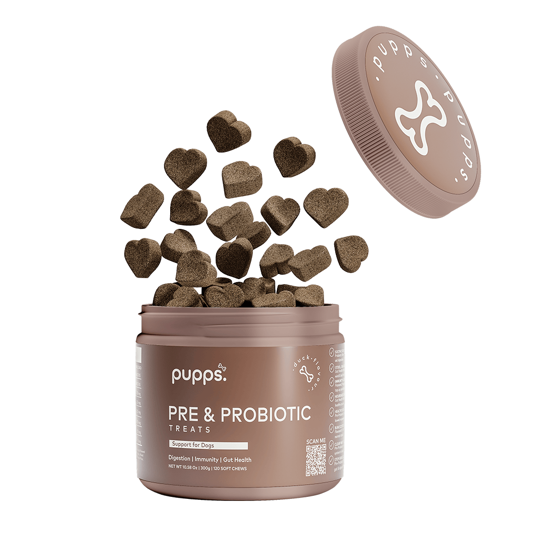 Pupps Pre & Probiotic Treats mauve tub with lid off and heart-shaped brown chews spilling out