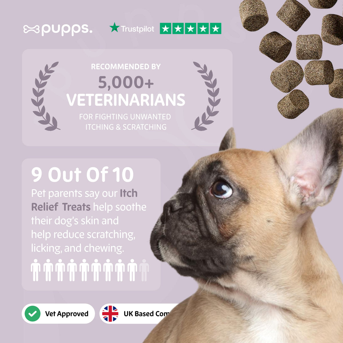 French bulldog looking up on a lilac Pupps soft chews graphic