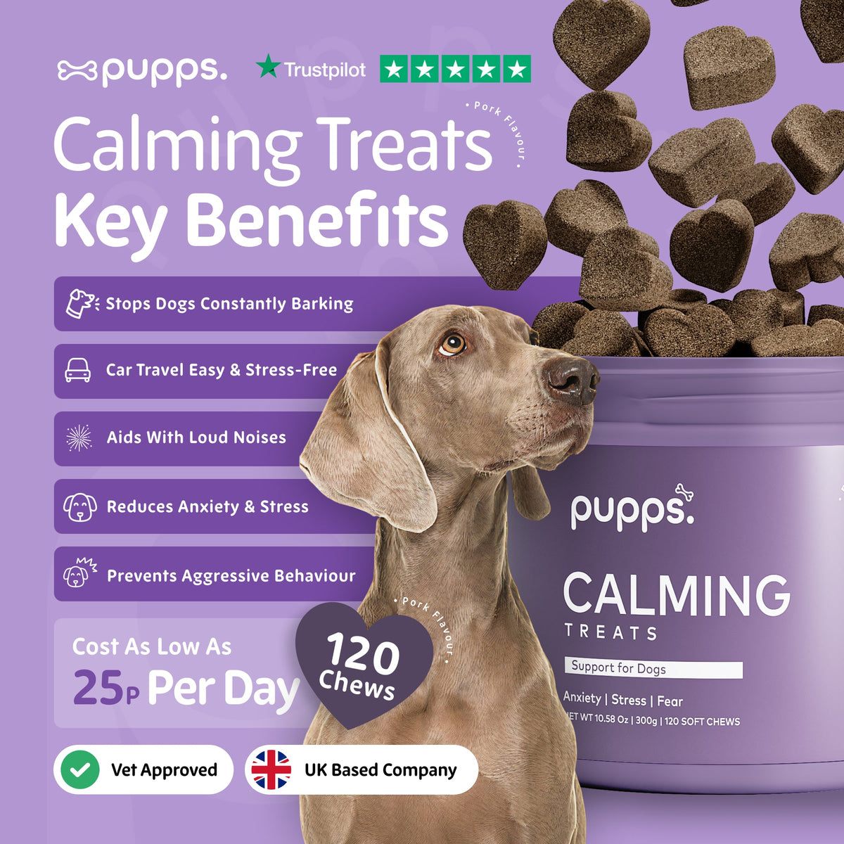 Weimaraner beside a tub of Pupps chamomile chews on a purple background