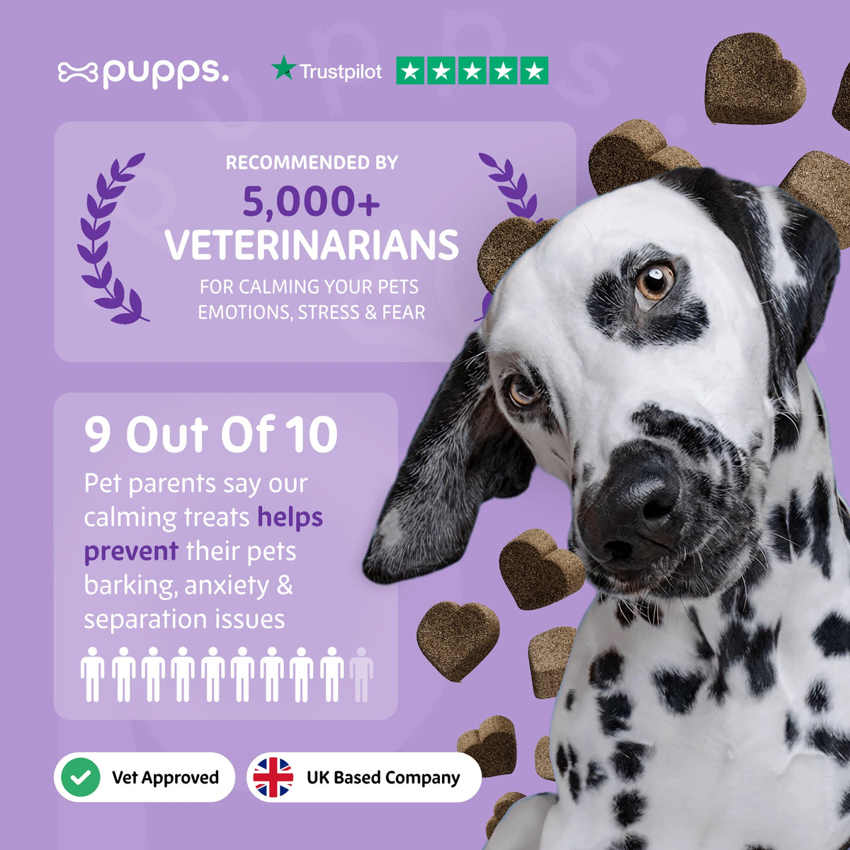 Dalmatian on a purple Pupps chamomile chews graphic