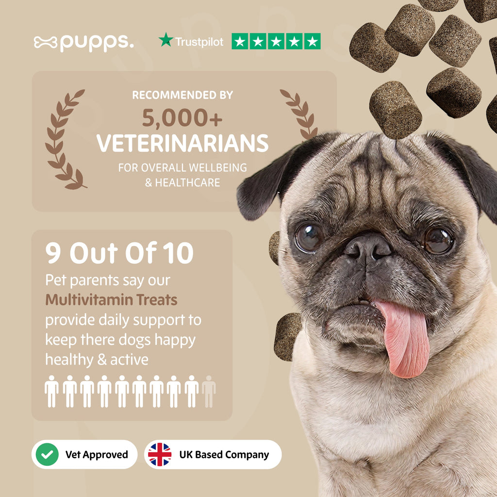 Pupps Multivitamin 8 in 1 promotional graphic featuring a pug sticking its tongue out