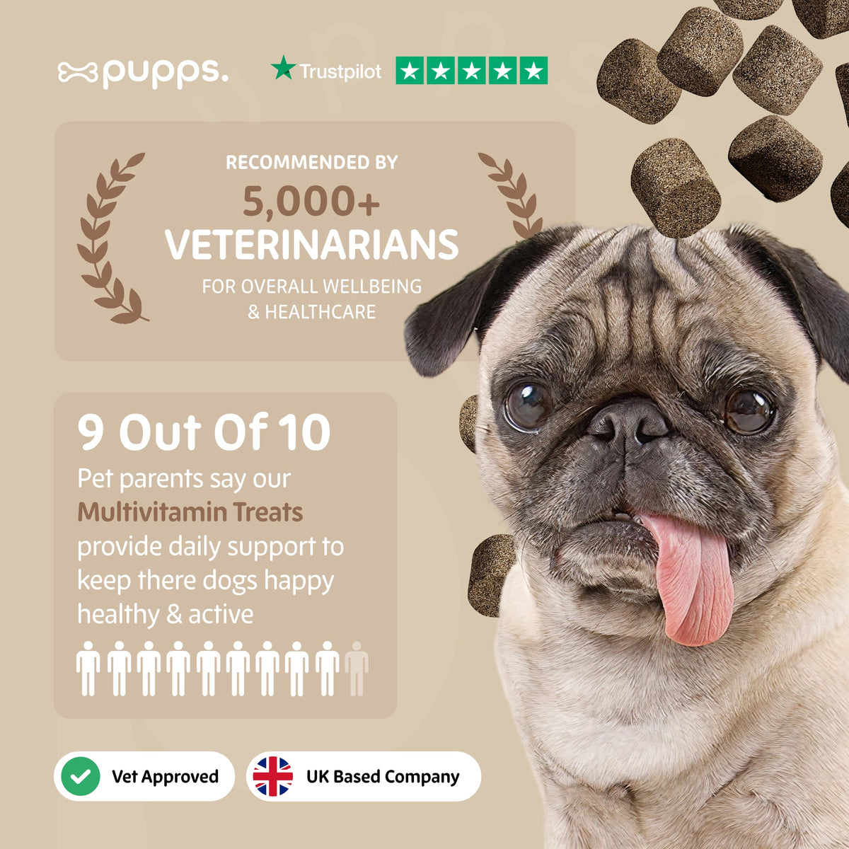Pupps Multivitamin 8 in 1 promotional graphic featuring a pug sticking its tongue out