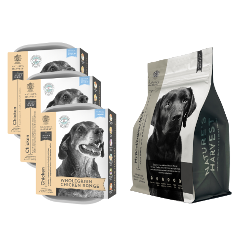 Three senior Chicken & Brown Rice wet dog food trays beside a Nature's Harvest mixer bag