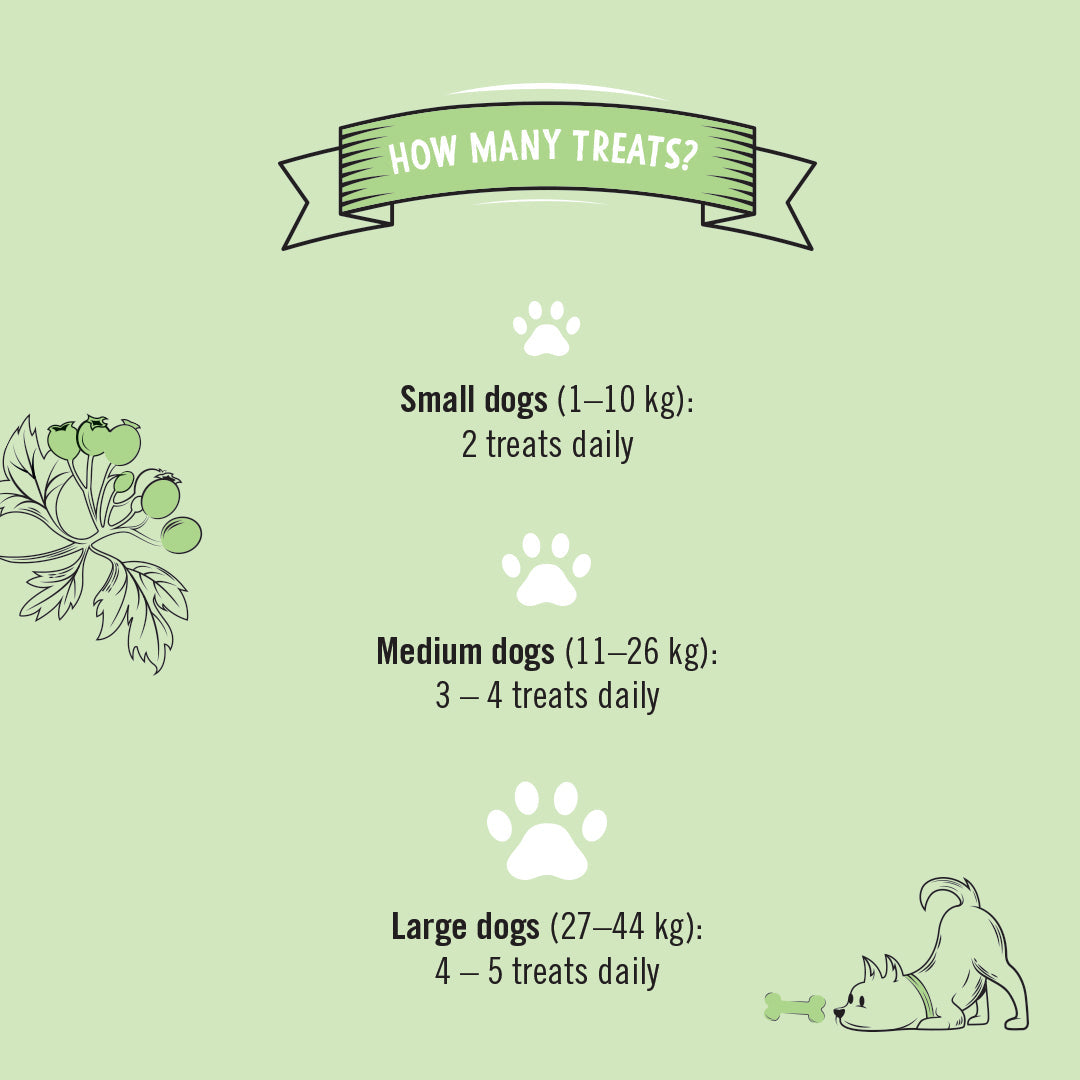 Senior Dog Treats feeding guide: 2 daily for small, 3–4 medium, 4–5 large dogs