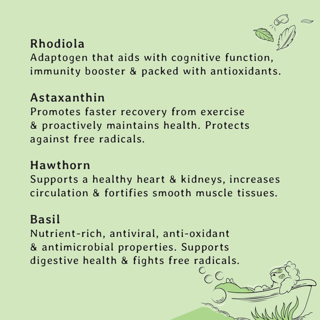 Senior Dog Treats ingredient card listing rhodiola, astaxanthin, hawthorn and basil