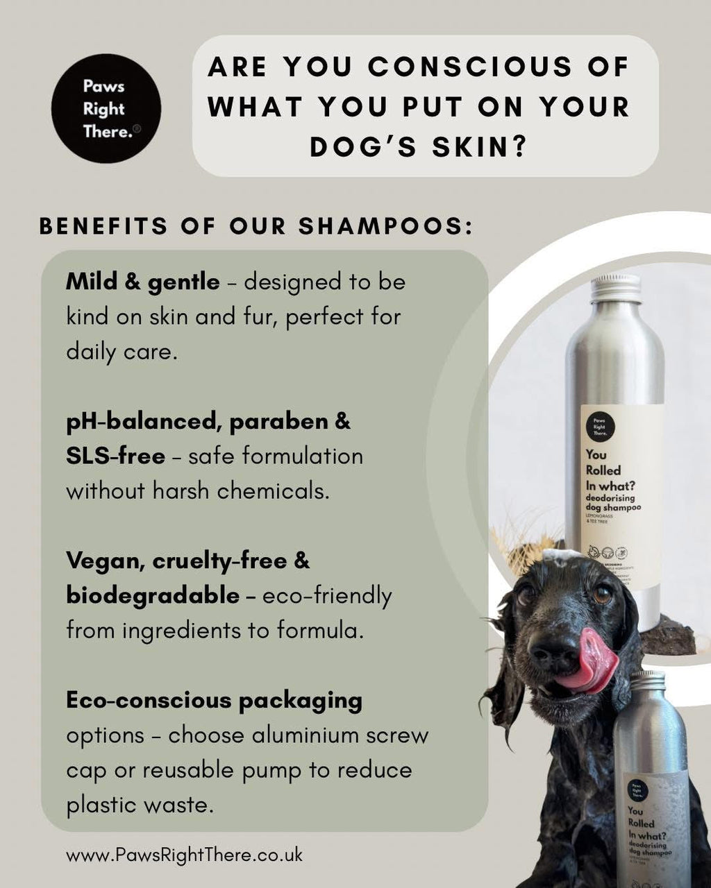 Info graphic on Paws Right There shampoos with a wet dachshund beside a bottle