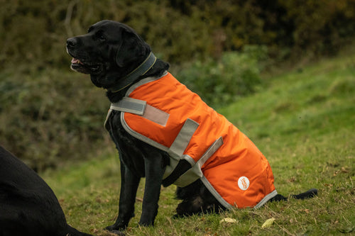 Classic Waterproof Dog Coat with Reflective Strips – Orange
