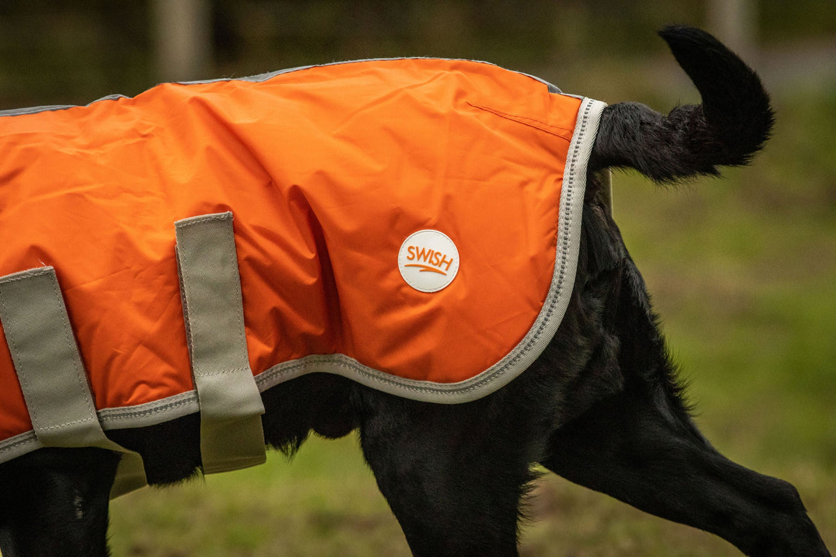 Classic Waterproof Dog Coat with Reflective Strips – Orange