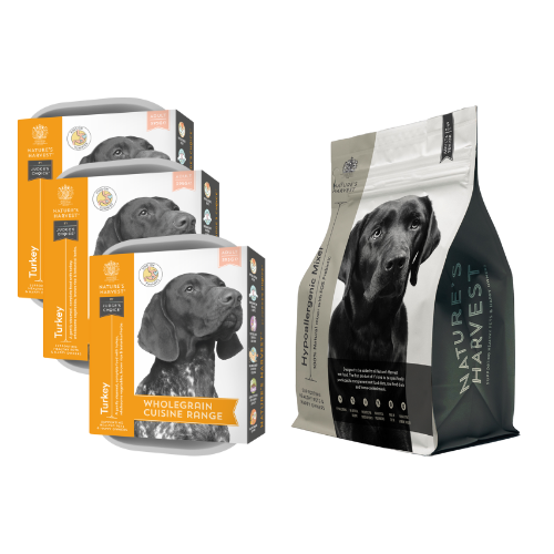 Three Turkey & Brown Rice wet dog food trays stacked beside a Nature's Harvest mixer bag