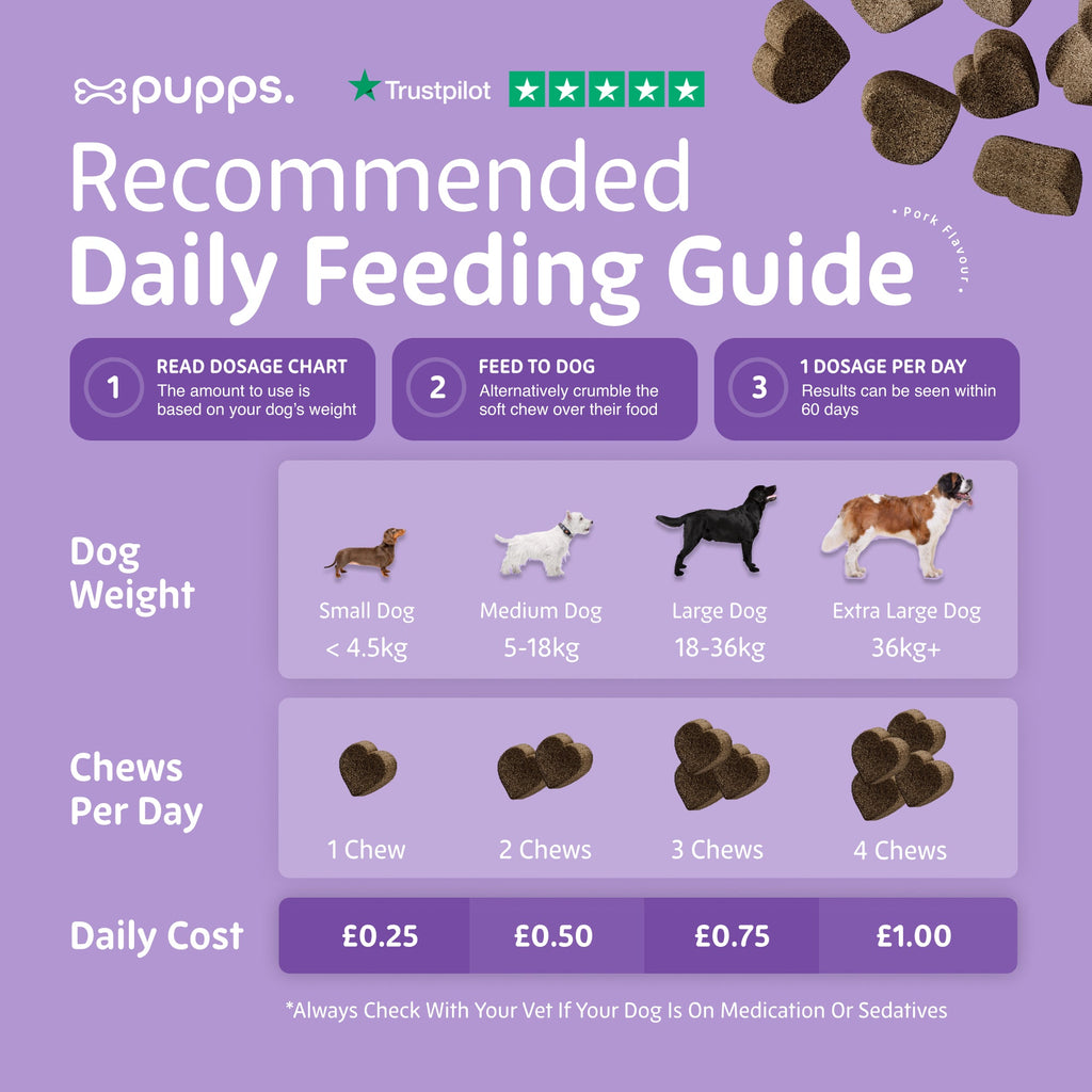 Pupps daily feeding guide chart by dog weight, 1 to 4 chews per day