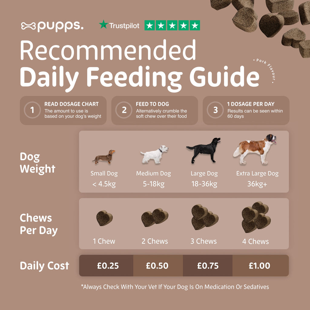 Pupps Pre & Probiotic daily feeding guide showing chews per day by dog weight