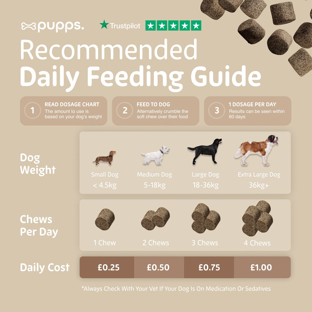 Pupps Multivitamin 8 in 1 daily feeding guide showing chews per day by dog weight