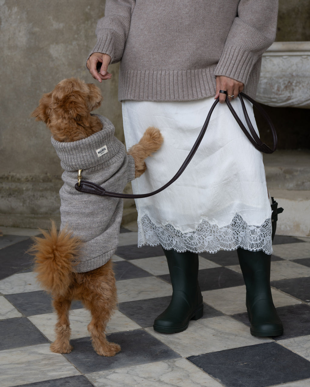 Golden dog in a grey wool jumper on its hind legs beside its owner
