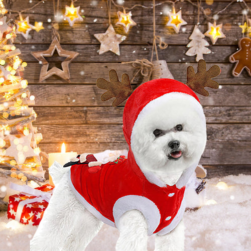 White fluffy dog wearing the Christmas reindeer hoodie