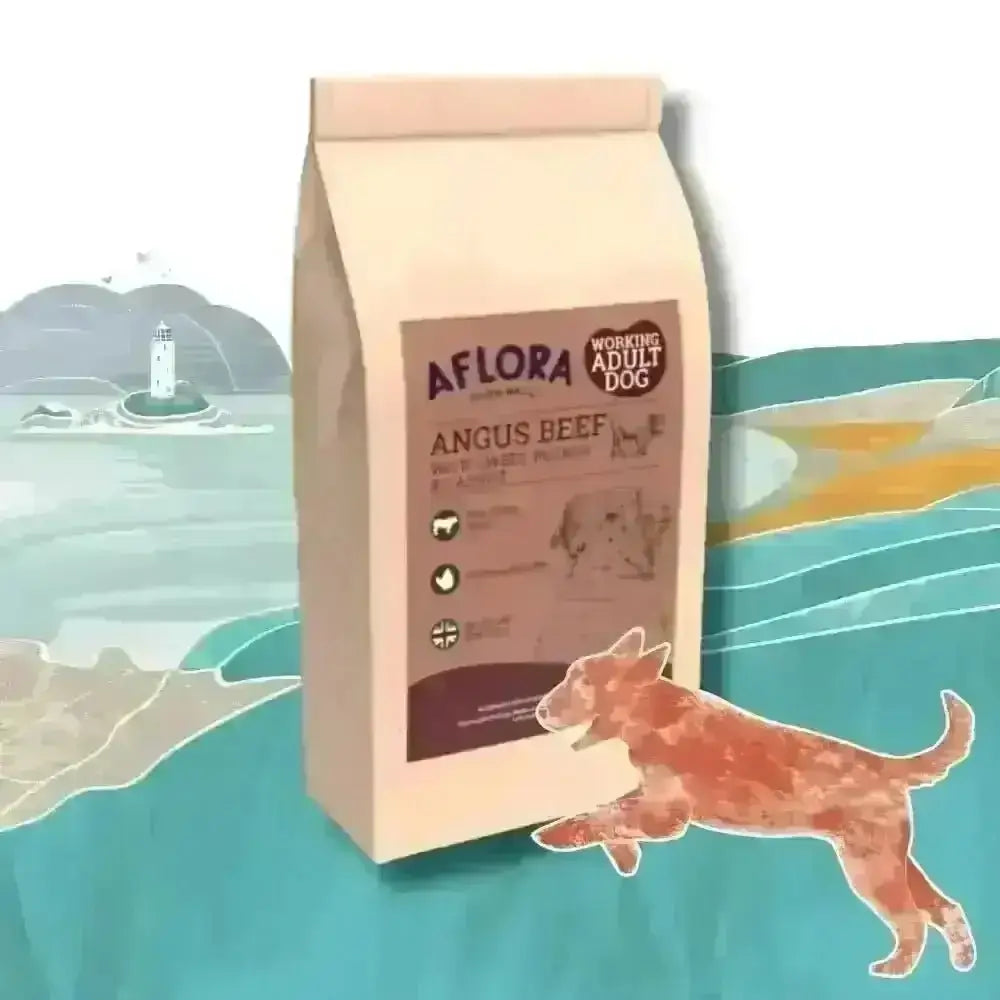 Aflora Angus Beef grain-free adult dog food bag with an illustrated dog running by the sea