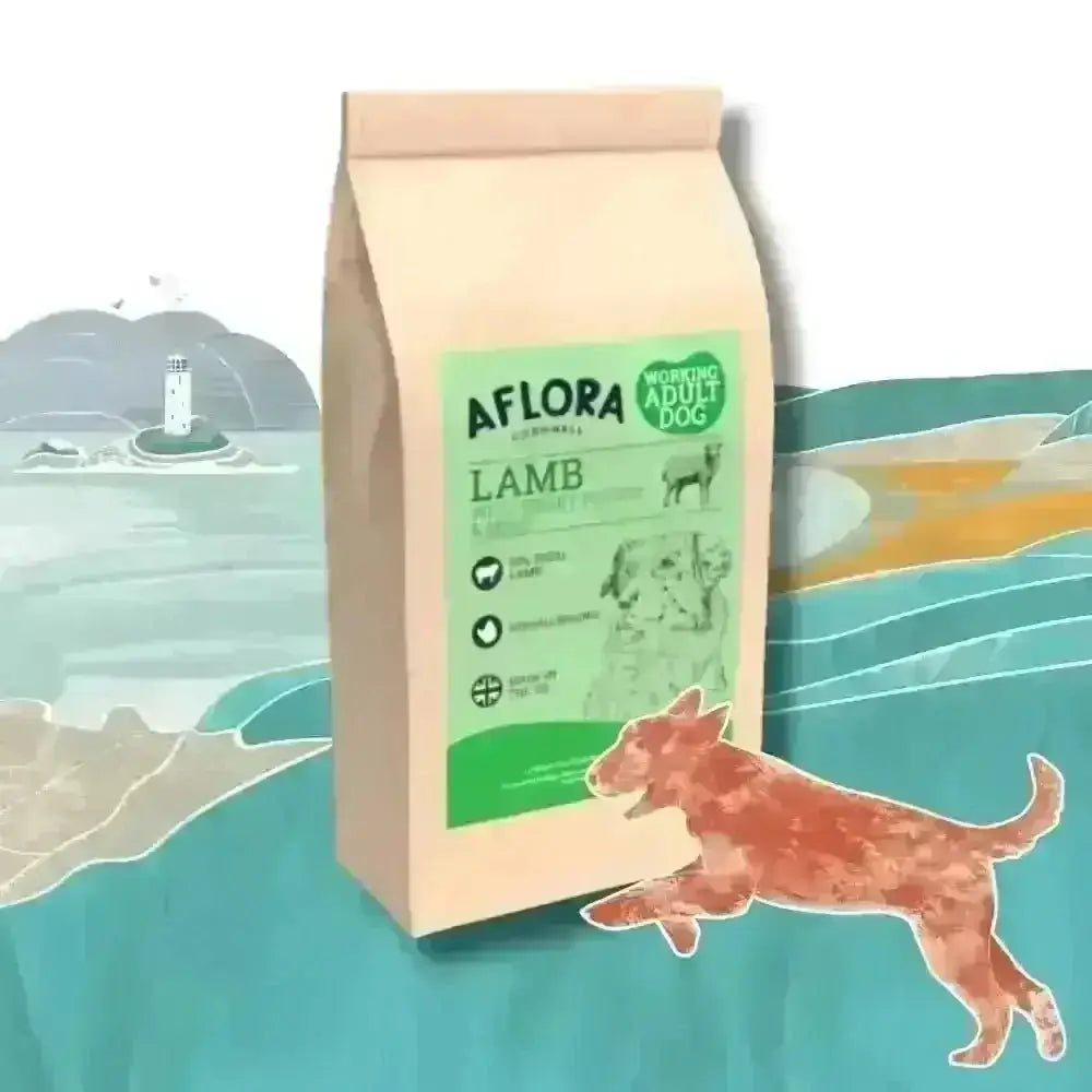 Aflora Lamb grain-free adult dog food bag with an illustrated dog running by the sea