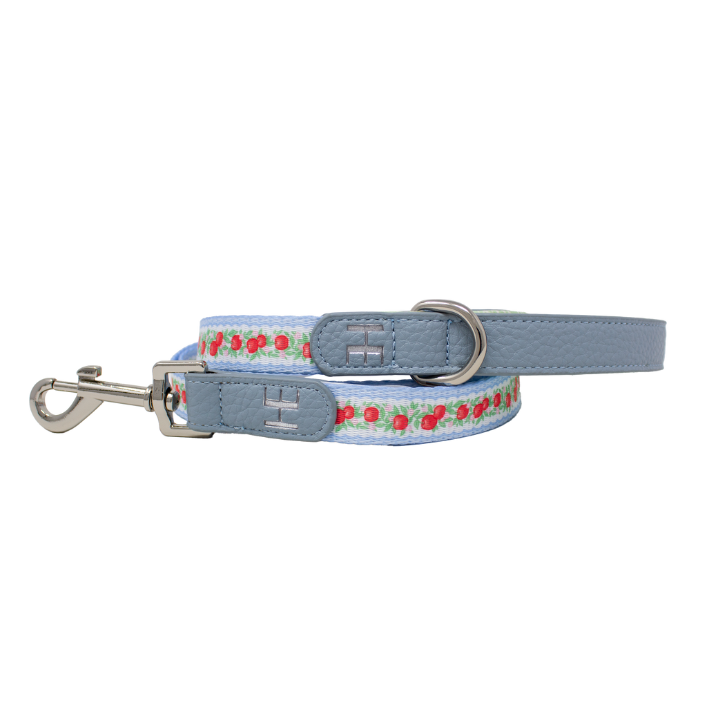 Eden's Orchard dog lead with red apples on blue stripes, grey padded handle and silver clip