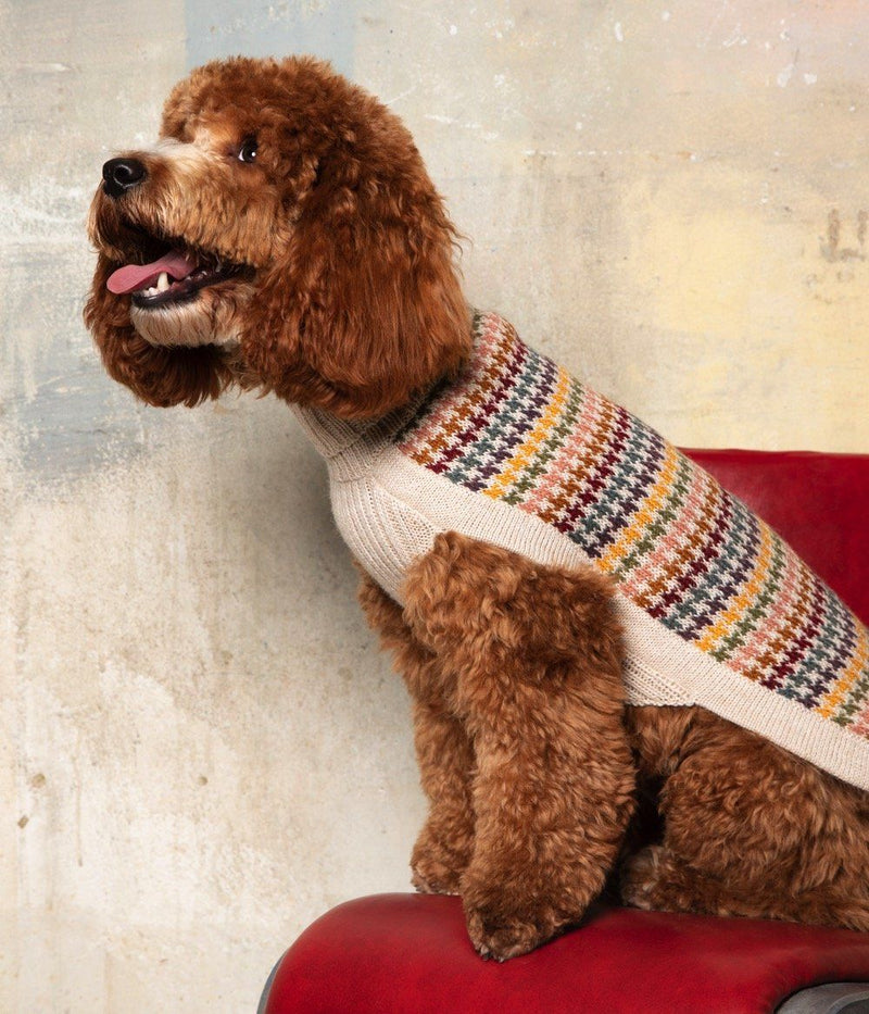 Red curly-coated doodle on a red chair in a cream jumper with multicoloured houndstooth back