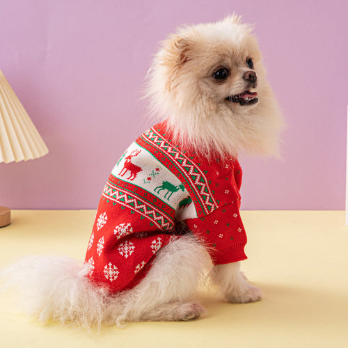 Pomeranian wearing the red Christmas knit jumper with reindeer band