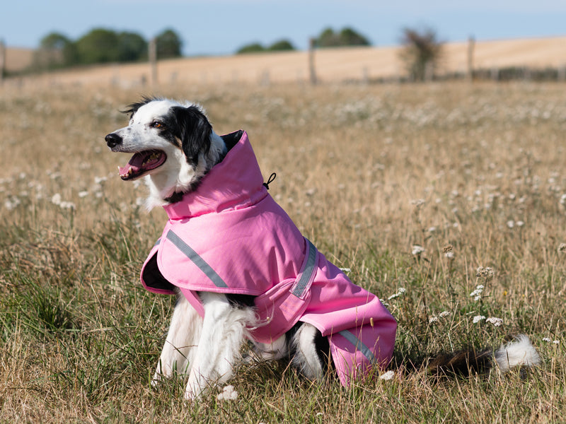 Luxe Waterproof Winter Dog Coat – Warm Padded Jacket, Baby Pink