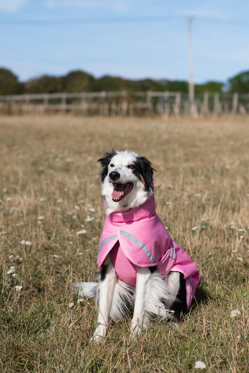 Luxe Waterproof Winter Dog Coat – Warm Padded Jacket, Baby Pink