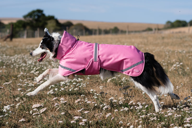 Luxe Waterproof Winter Dog Coat – Warm Padded Jacket, Baby Pink