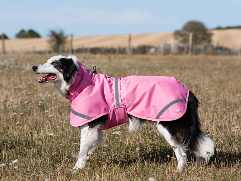 Luxe Waterproof Winter Dog Coat – Warm Padded Jacket, Baby Pink