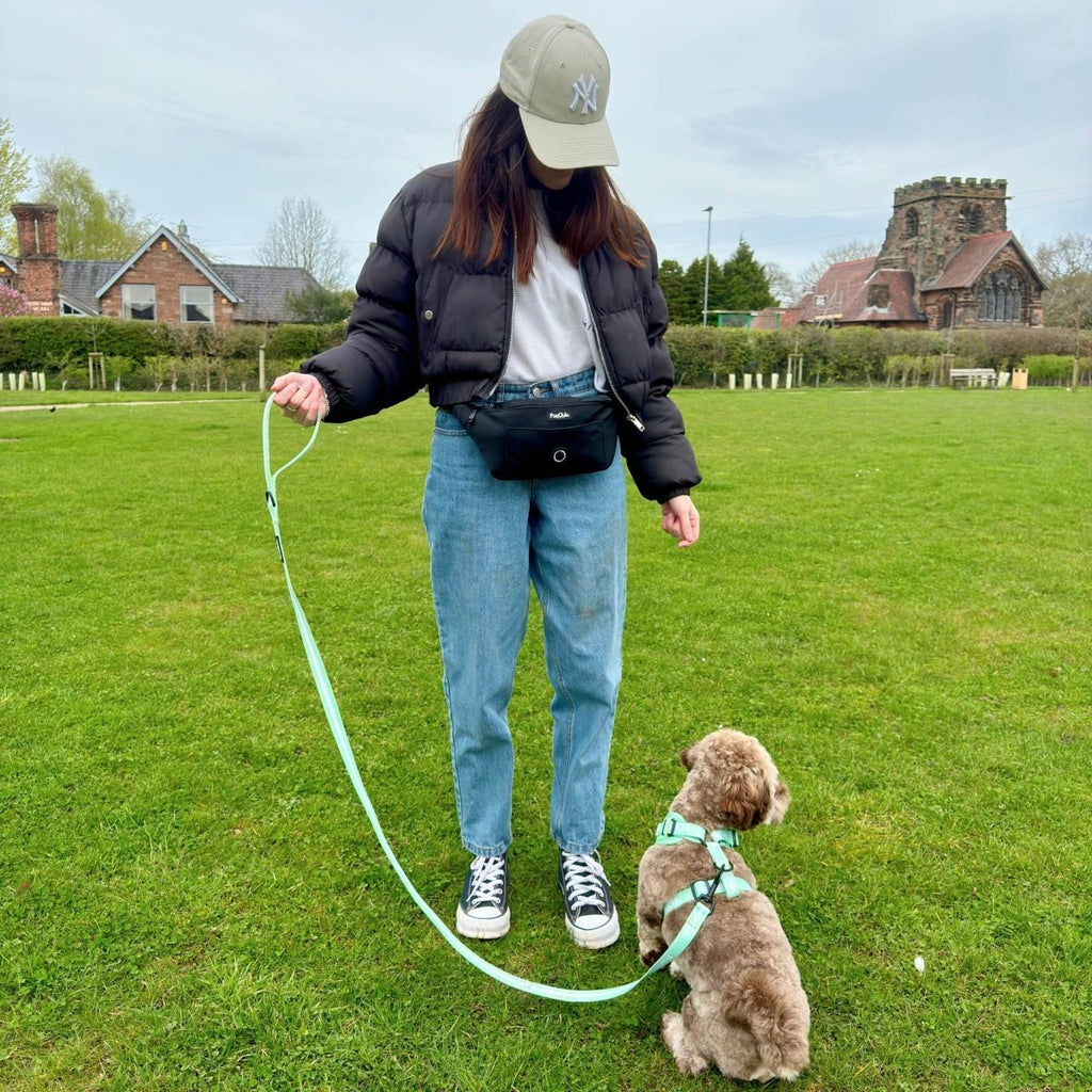 Owner walking a small dog on the Pastel Green Stripe Dog Lead across a village green
