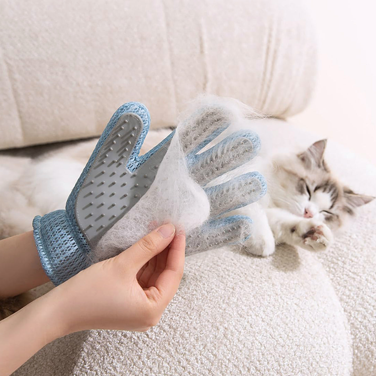 Owner holding a fur-covered grooming glove next to a fluffy cat on the sofa