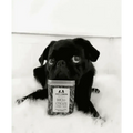 Black pug lying on a fluffy rug behind a tin of Pets Larder Duck & Chicken treats