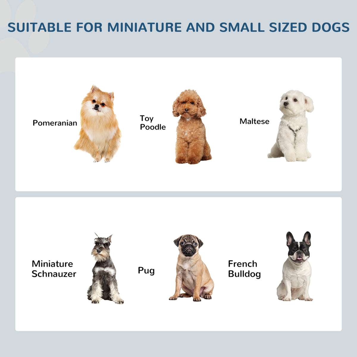 Small breeds suited to the raised feeder, including Pomeranian, Toy Poodle, Maltese and Pug