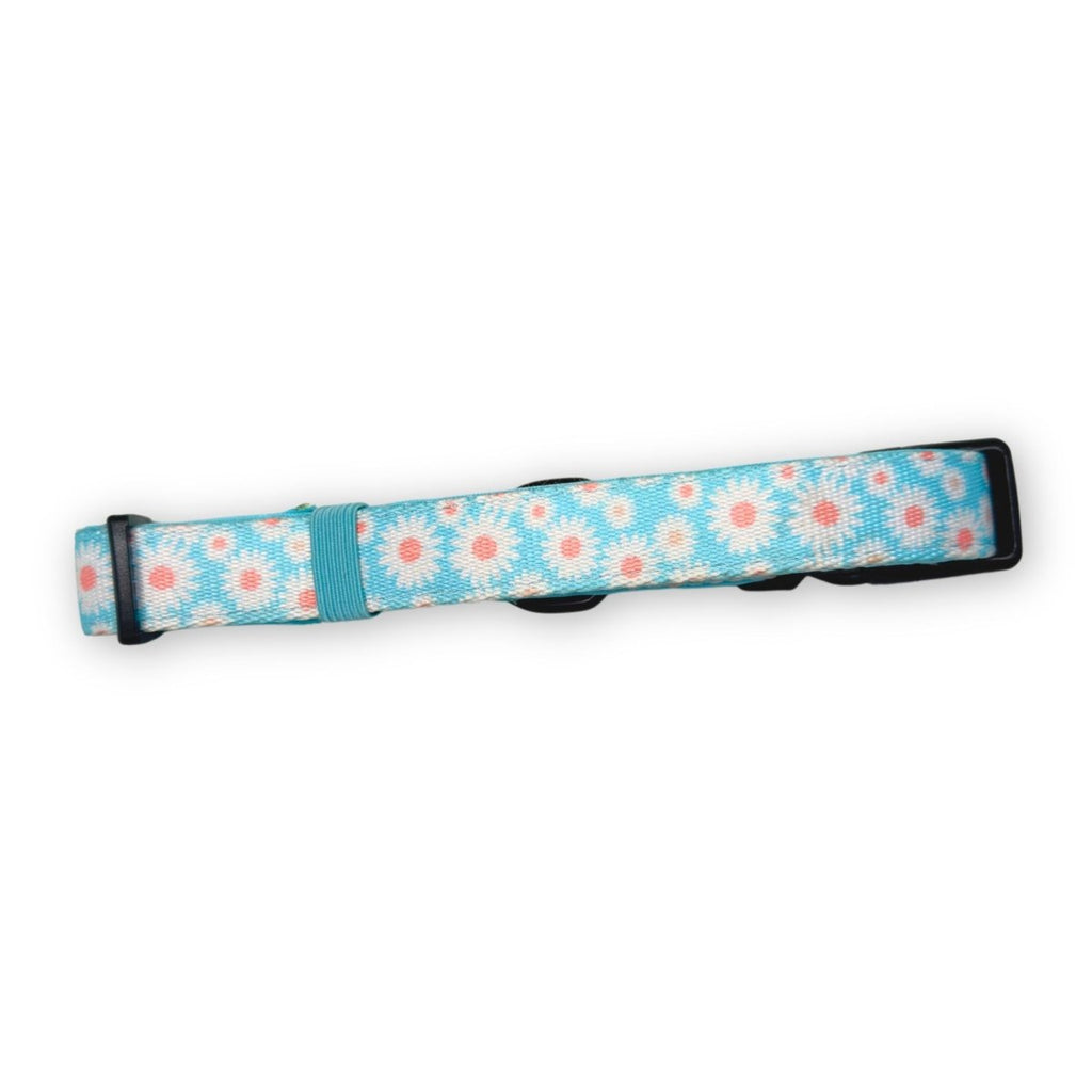 Back of the Pastel Daisy Dog Collar showing the aqua daisy print and adjuster
