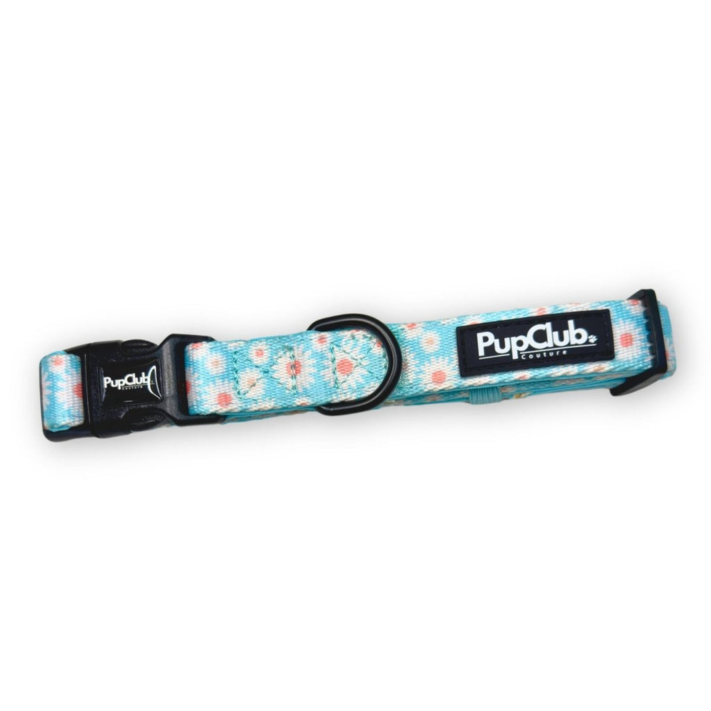 Pastel Daisy Dog Collar in aqua with white daisies, black quick-release buckle and D-ring