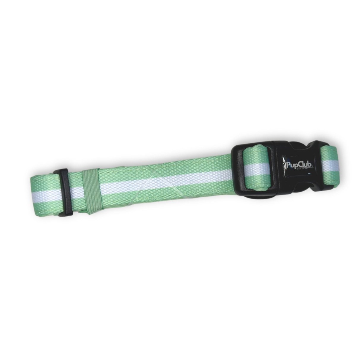 Pastel Mint Stripe Dog Collar side view showing the buckle and adjuster