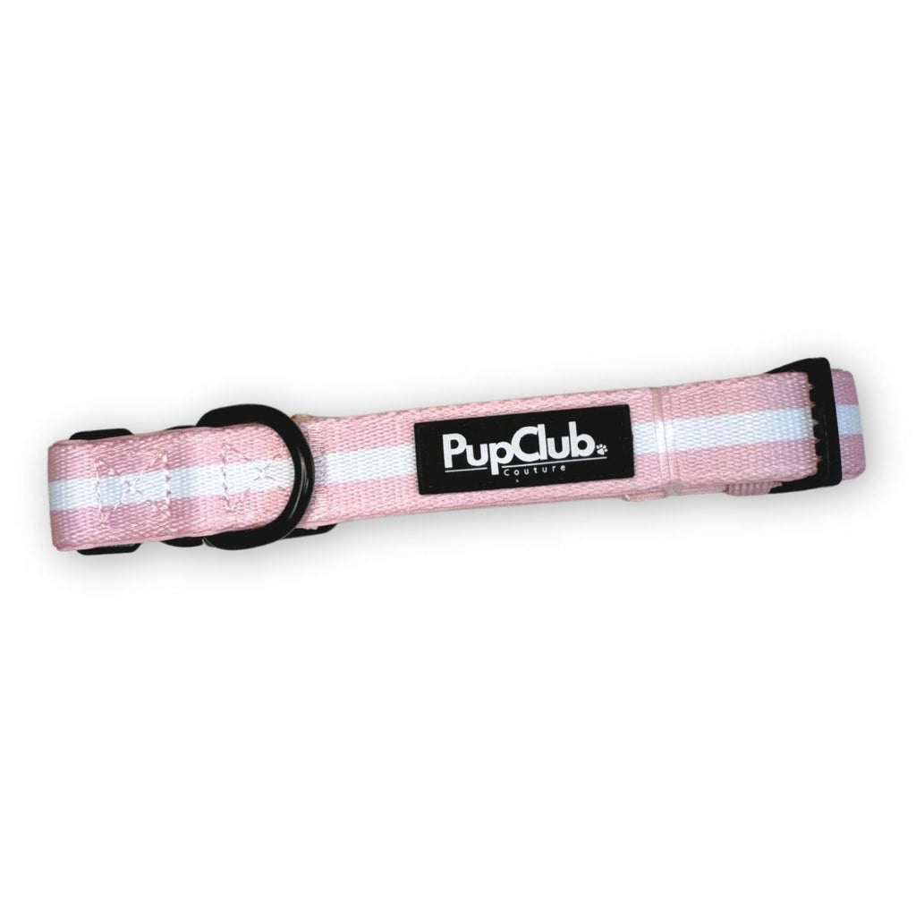 Pastel Pink Stripe Dog Collar with white stripe, black buckle and PupClub label