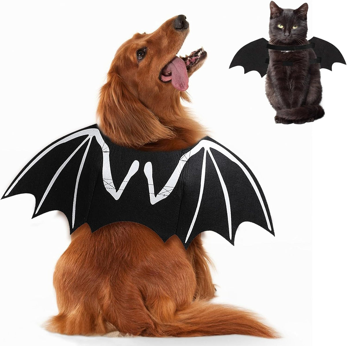 Glow-in-the-Dark Skeleton Bat Wings for Dogs & Cats 🦇