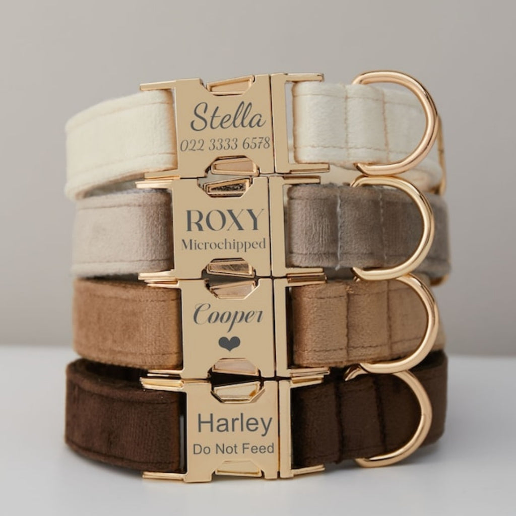 Velvet dog collars stacked in cream, grey, brown and chocolate with gold buckles (example names only)