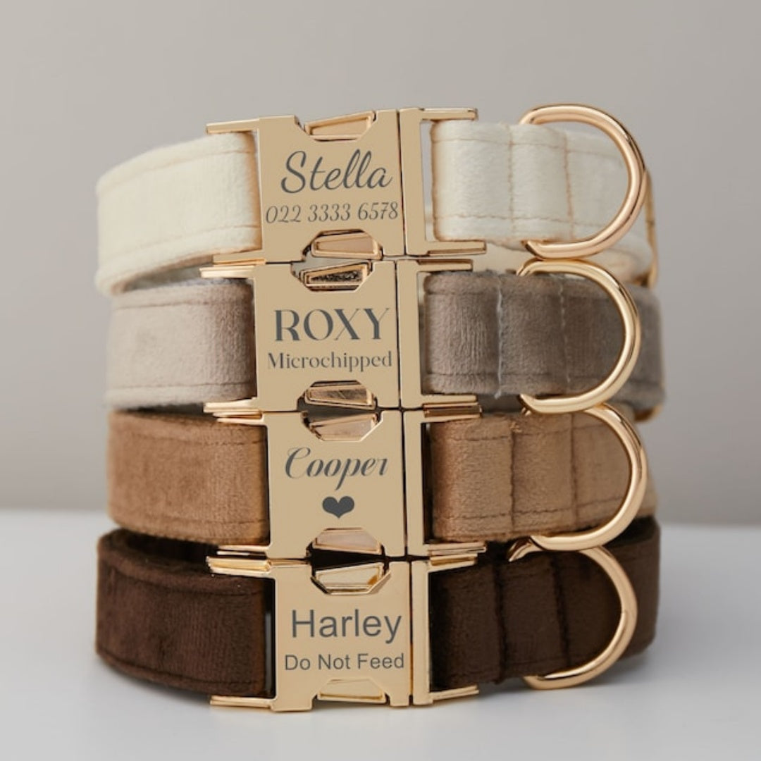 Velvet dog collars stacked in cream, grey, brown and chocolate with gold buckles (example names only)