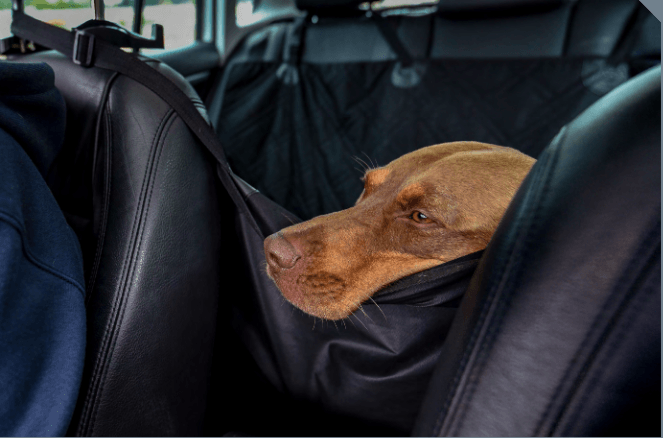 Waterproof Dog Car Seat Hammock – Back Seat Cover for Cars & SUVs