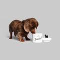 Brown long-haired dachshund sniffing inside the open white ceramic treat jar, dog-shaped lid beside it