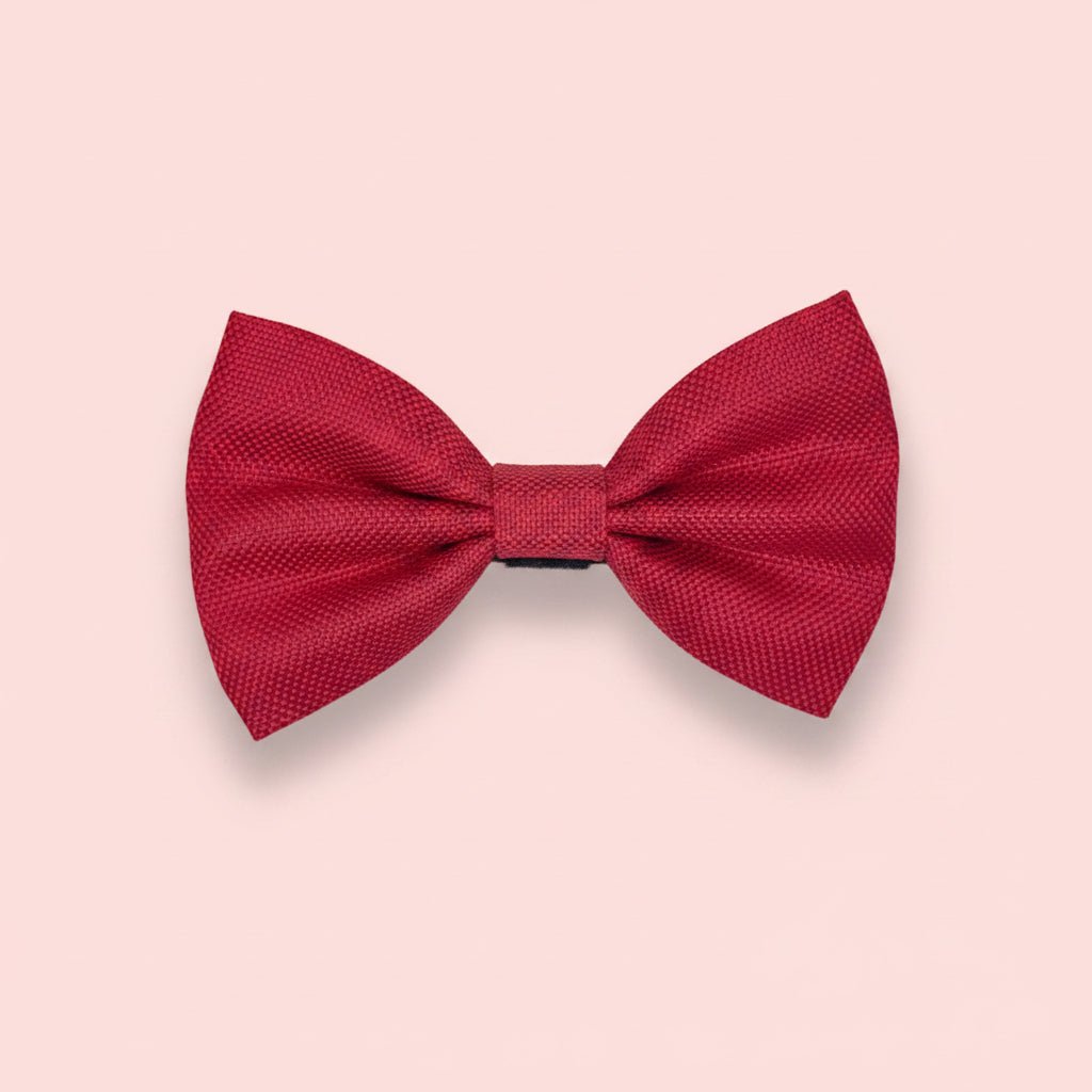 Berry Red Dog Bow Tie in plain red on a pink background