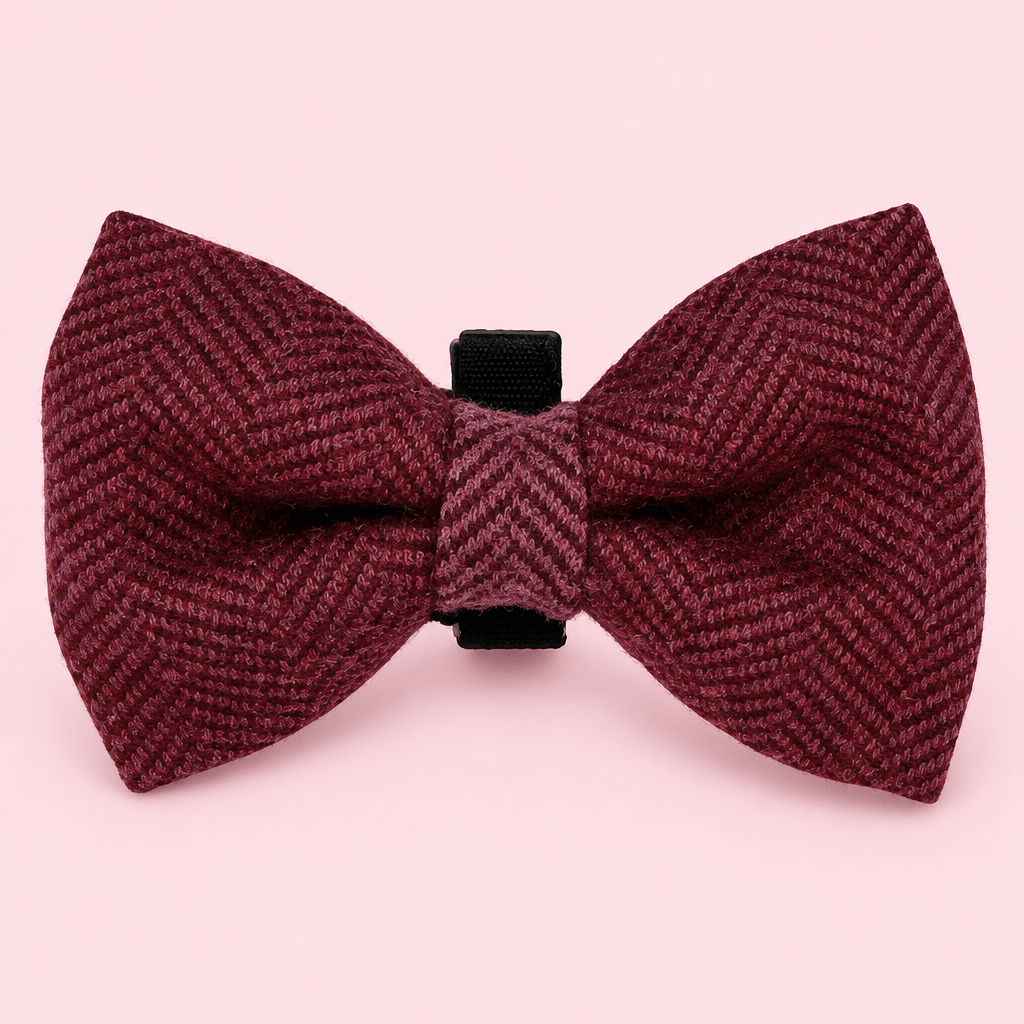 Berry Tweed Dog Bow Tie in burgundy herringbone on a pink background