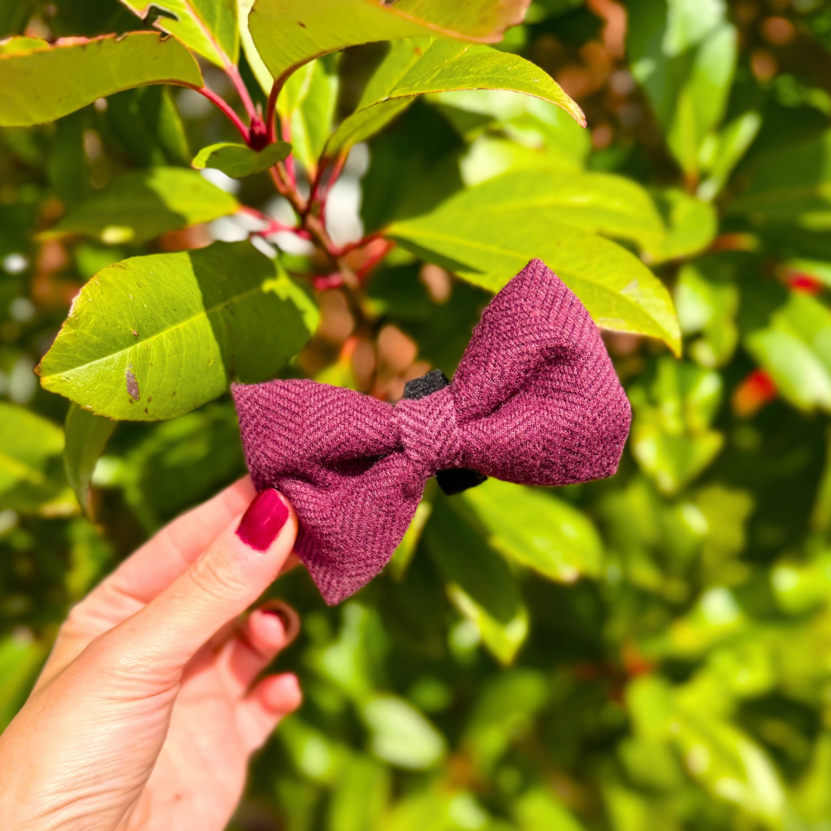 Hand holding the Berry Tweed Dog Bow Tie against green leaves