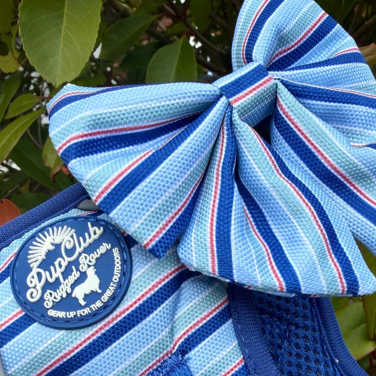 Close-up of the Sea Breeze Stripes Dog Sailor Bow on a blue Rugged Rover harness