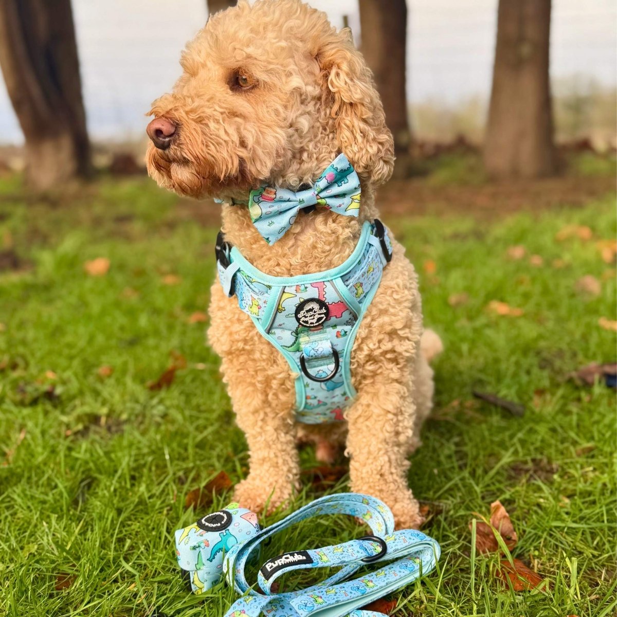 Rugged Rover No-Pull Dog Harness – Jurassic Party Dinosaur