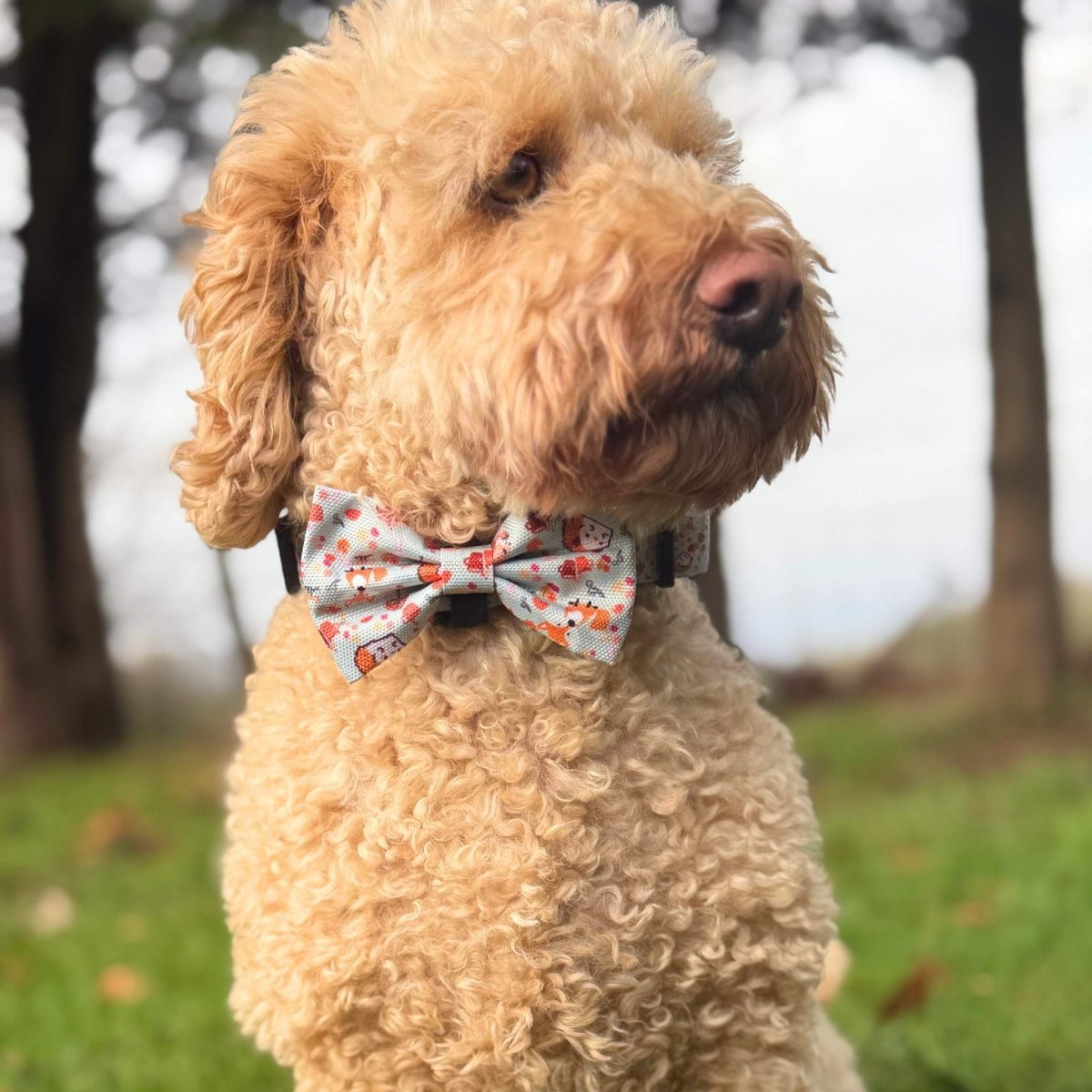 Apricot cockapoo wearing the Woodland Friends fox print bow tie outdoors